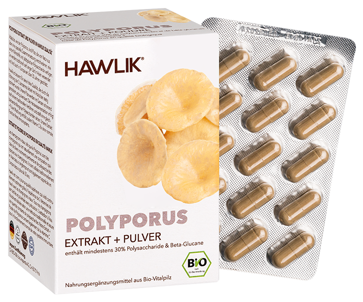 HAWLIK Polyporus Extrakt + Pulver Kapseln 120 Stück