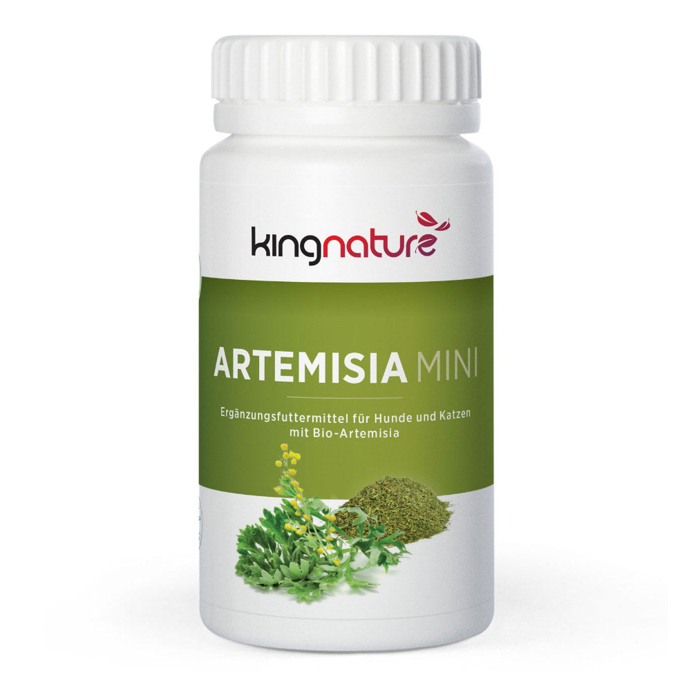 KINGNATURE Artemisia Mini